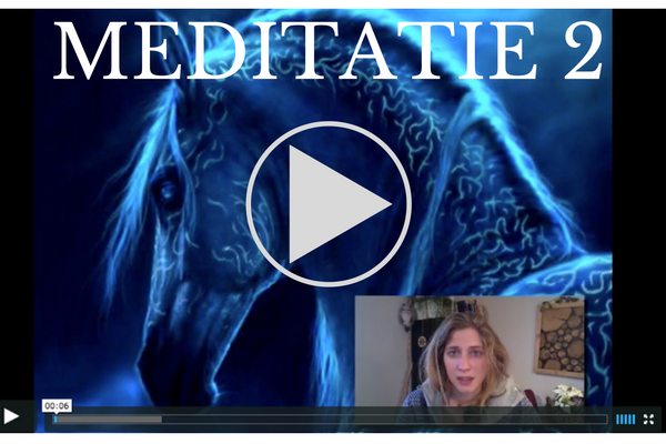 boodschappen van paarden, janna huis, meet your spirit horse, meditatie paard
