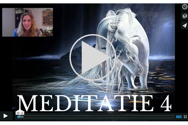 Witte merrie, Unicorn, boodschappen van paarden, messages from horses, spirit horse, magical horse, white horse