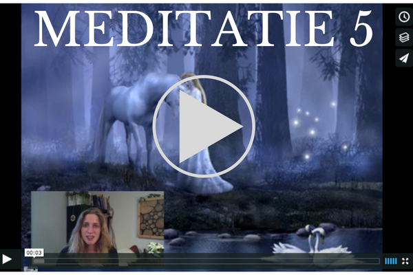 meditatie paarden, boodschappen van paarden, janna huis, meet your spirit horse, messages from horses